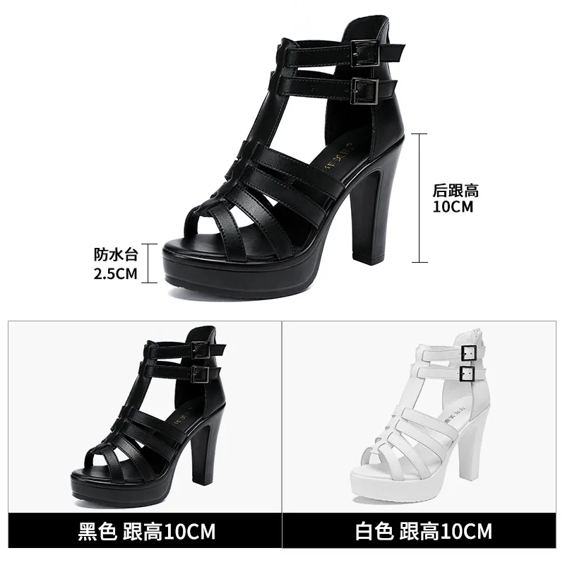 รองเท้ากลาดิเอเตอร์สตรีรองเท้า - Summer Clothing Stores บทวิจารณ์และราคา